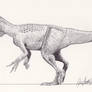 Marshosaurus life drawing