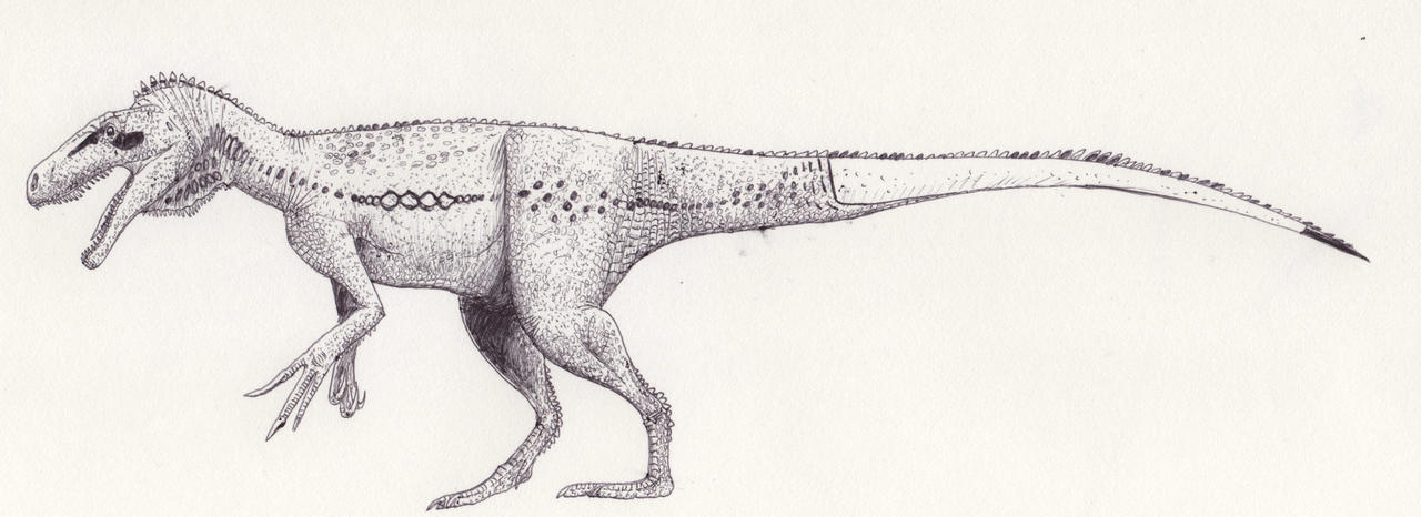 Marshosaurus _again_