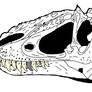 Yutyrannus skull