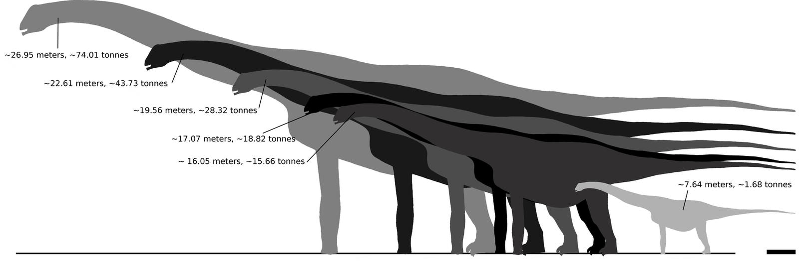 Alamosaurus sizes