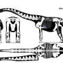 Alamosaurus skeletal
