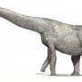 Alamosaurus (small scales)