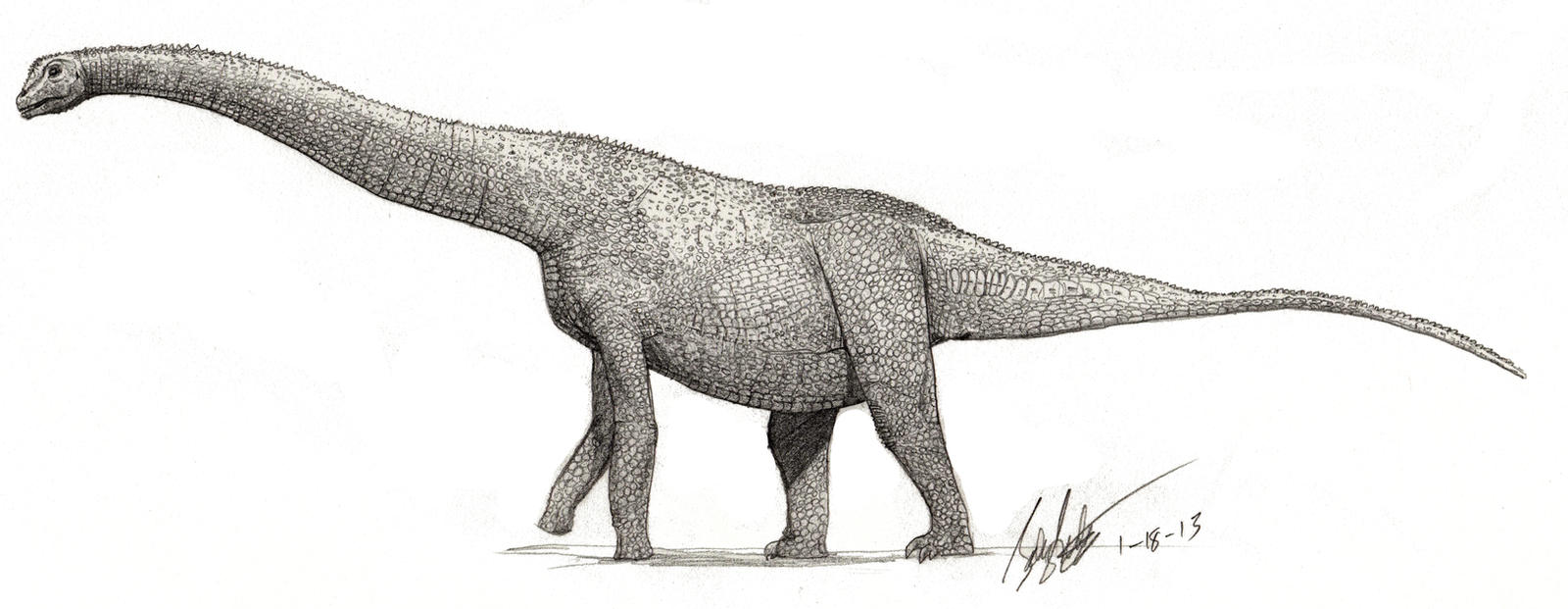 Alamosaurus (small scales)