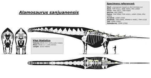Updated Alamosaurus skeletal