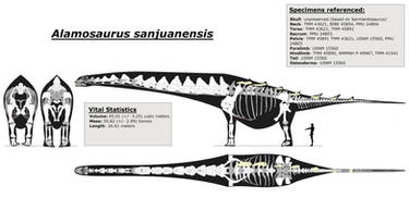 Updated Alamosaurus skeletal