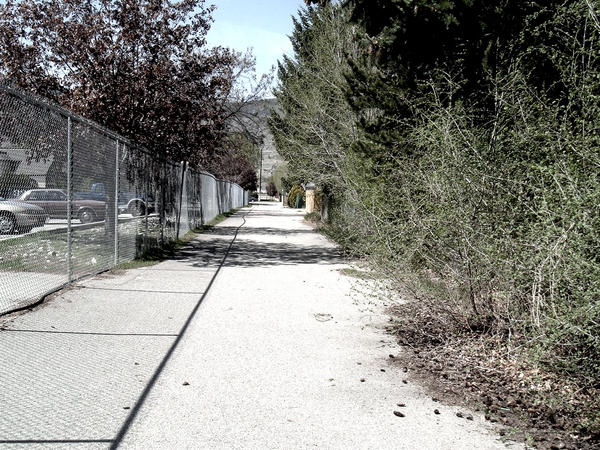 Alley Rat by shay420 on DeviantArt