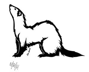 Ferret Tattoo 2