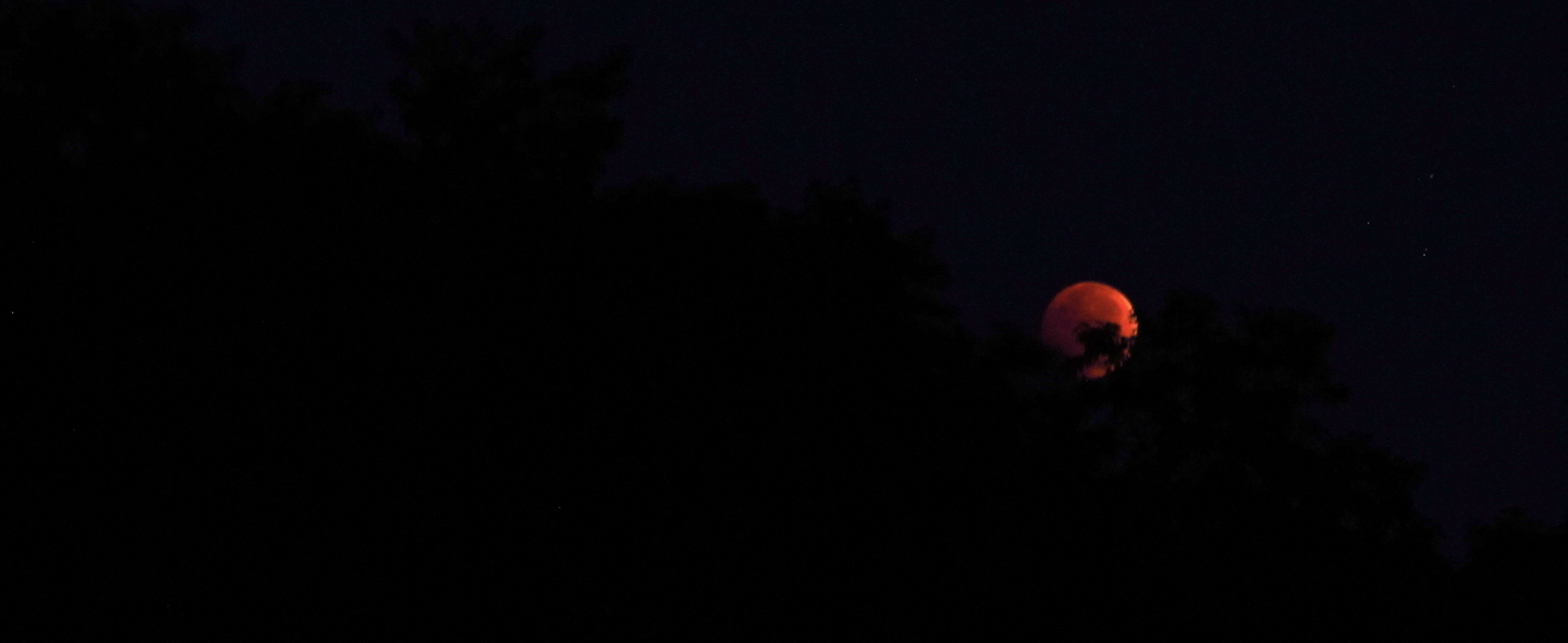 Blood Moon 2