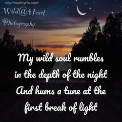 My wild soul rumbles