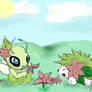 Playing Shaymin