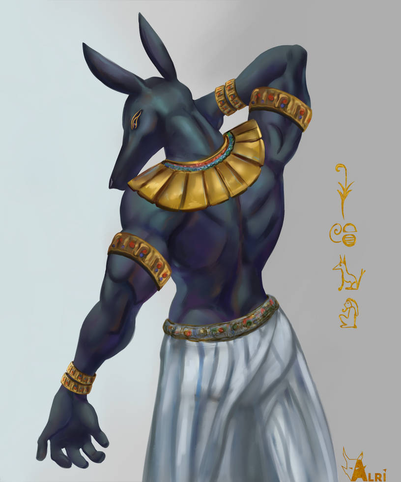 Seth The Rabbit Seth by Tishidovara on DeviantArt