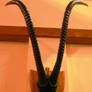 Horns 1