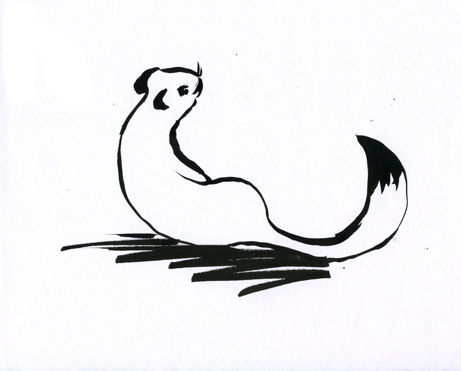 Hermelin 3 by meszarosnadia on DeviantArt