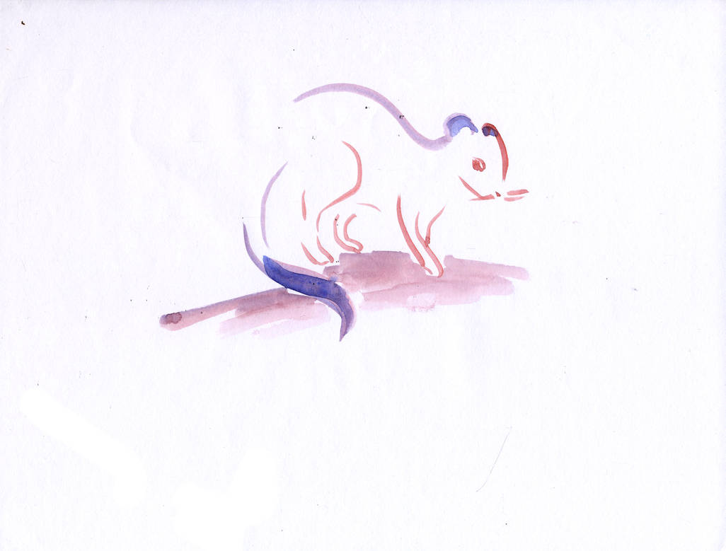 Hermelin 7 by meszarosnadia on DeviantArt