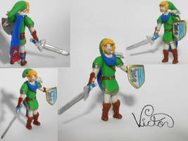 Link Hyrule Warrior