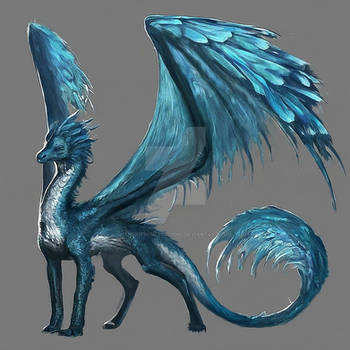 Dragon Adoptable 2