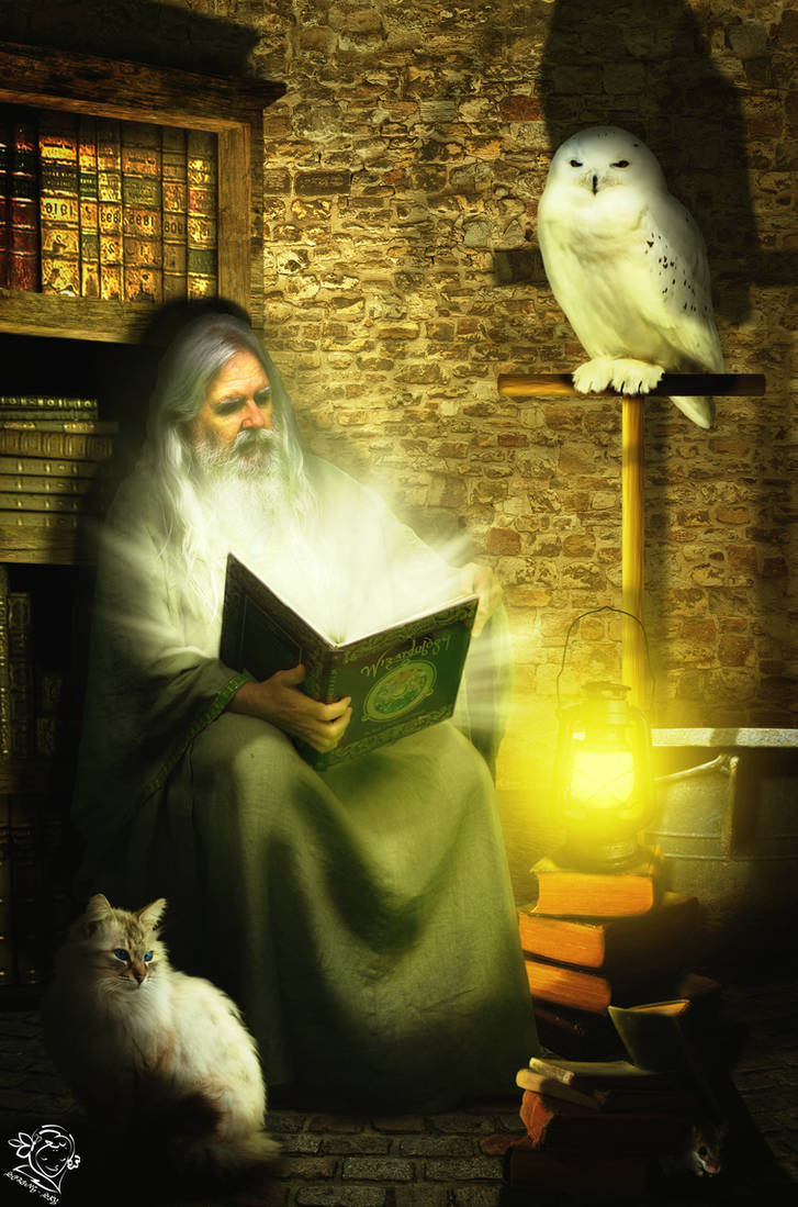 Enlightening Knowledge by spring-sky
