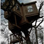 Treehouse