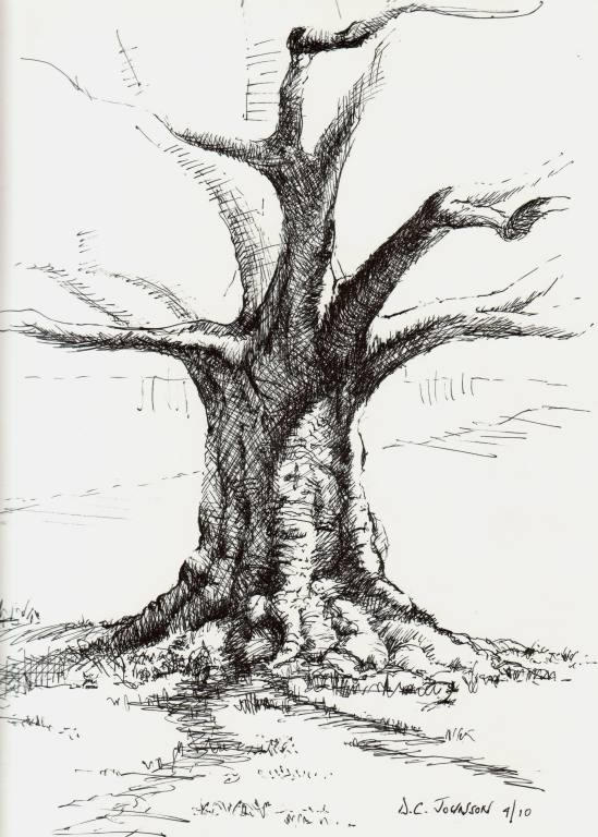 Pain Treedraw Tree Drawings, Still Life Pain by DCJohnson500 on DeviantArt
