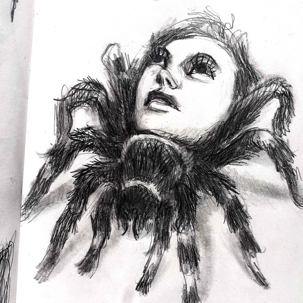 Tarantula Deviantart Tarantula by Themaze on DeviantArt