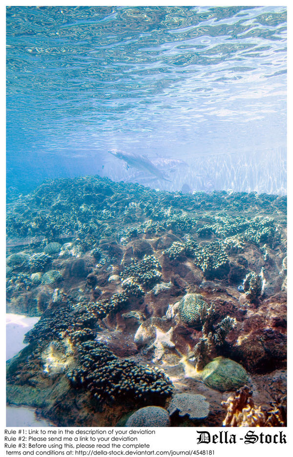 Ocean Floor by Della-Stock