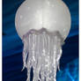 Jelly Fish Lamp.2