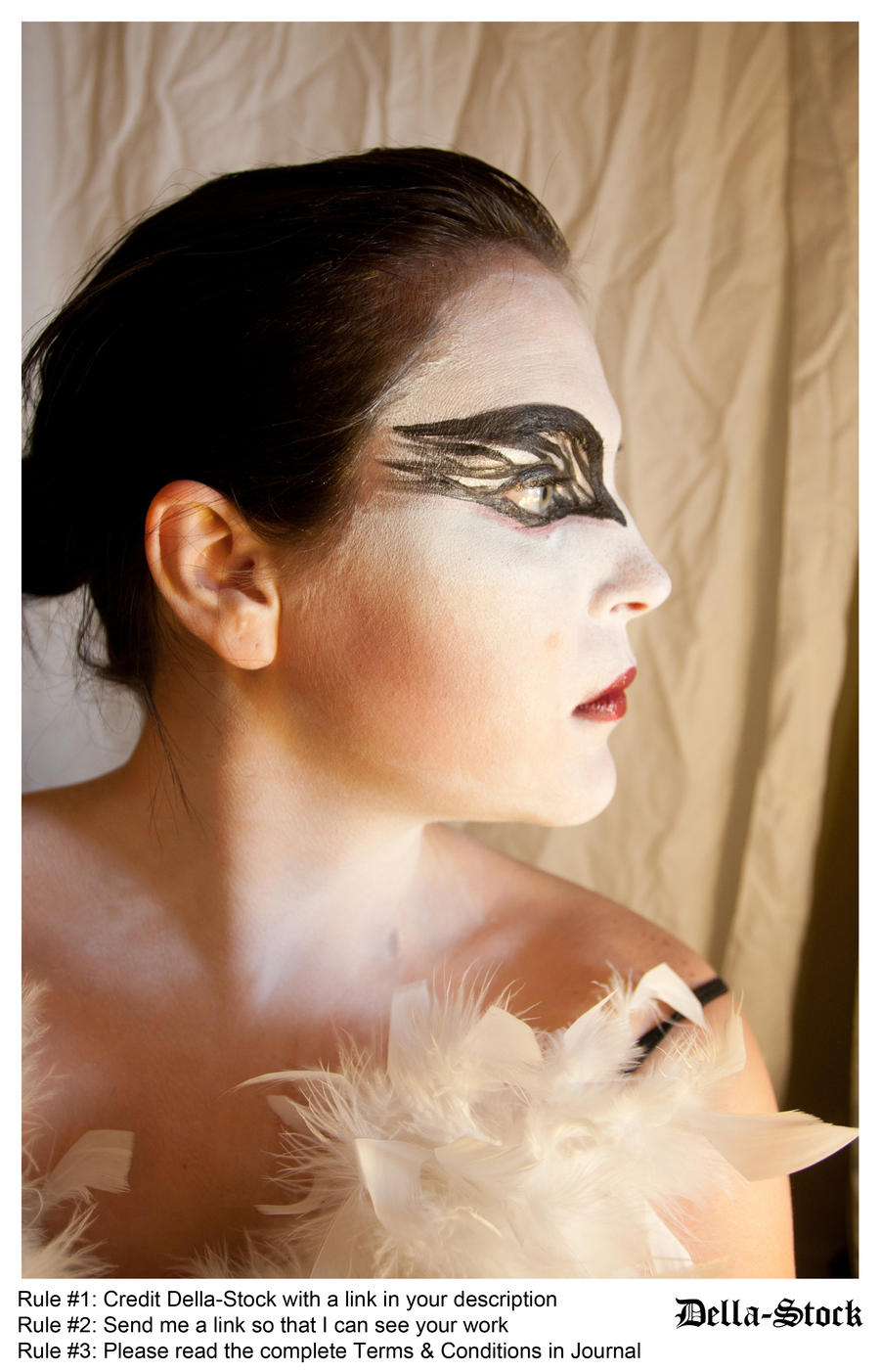 Black Swan FacePaint.11