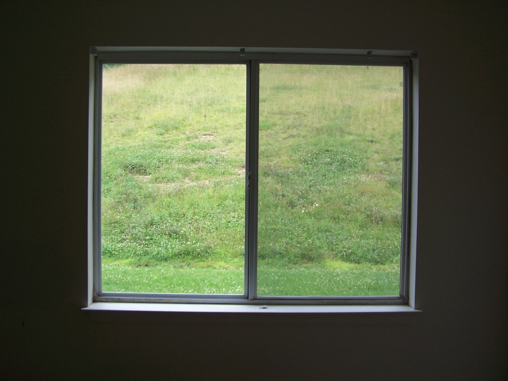 Window