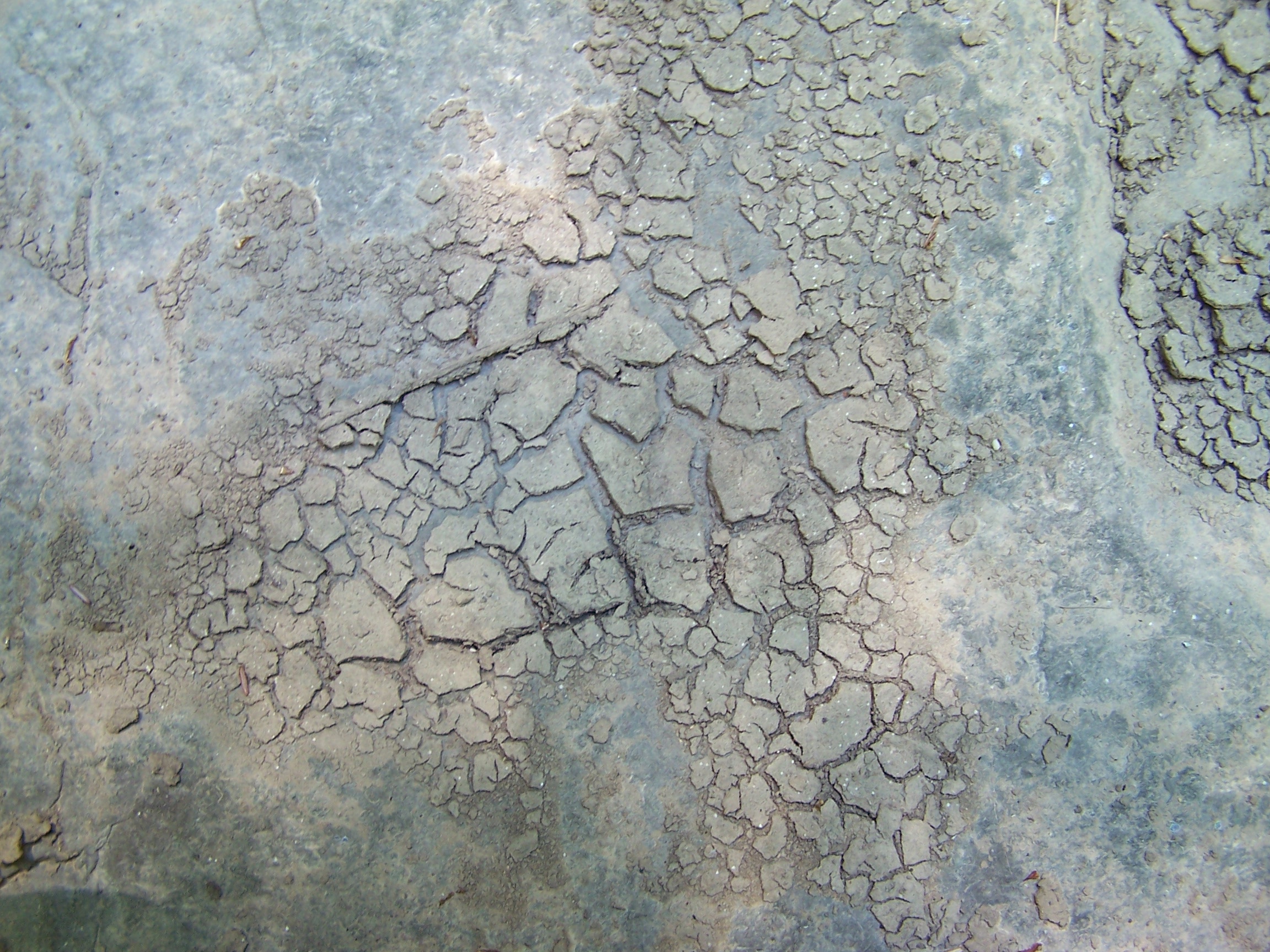 Dried Mud Texture 02