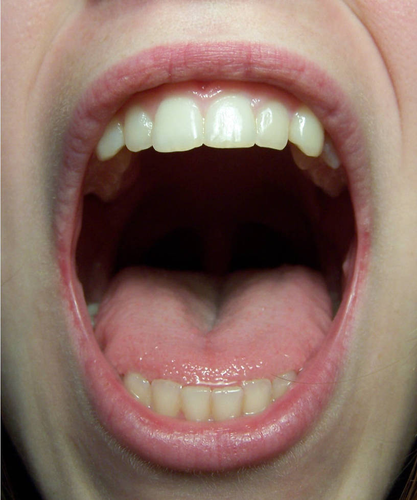 Mouth Detail Front by Della-Stock