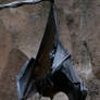 Animal Kingdom Bat.3