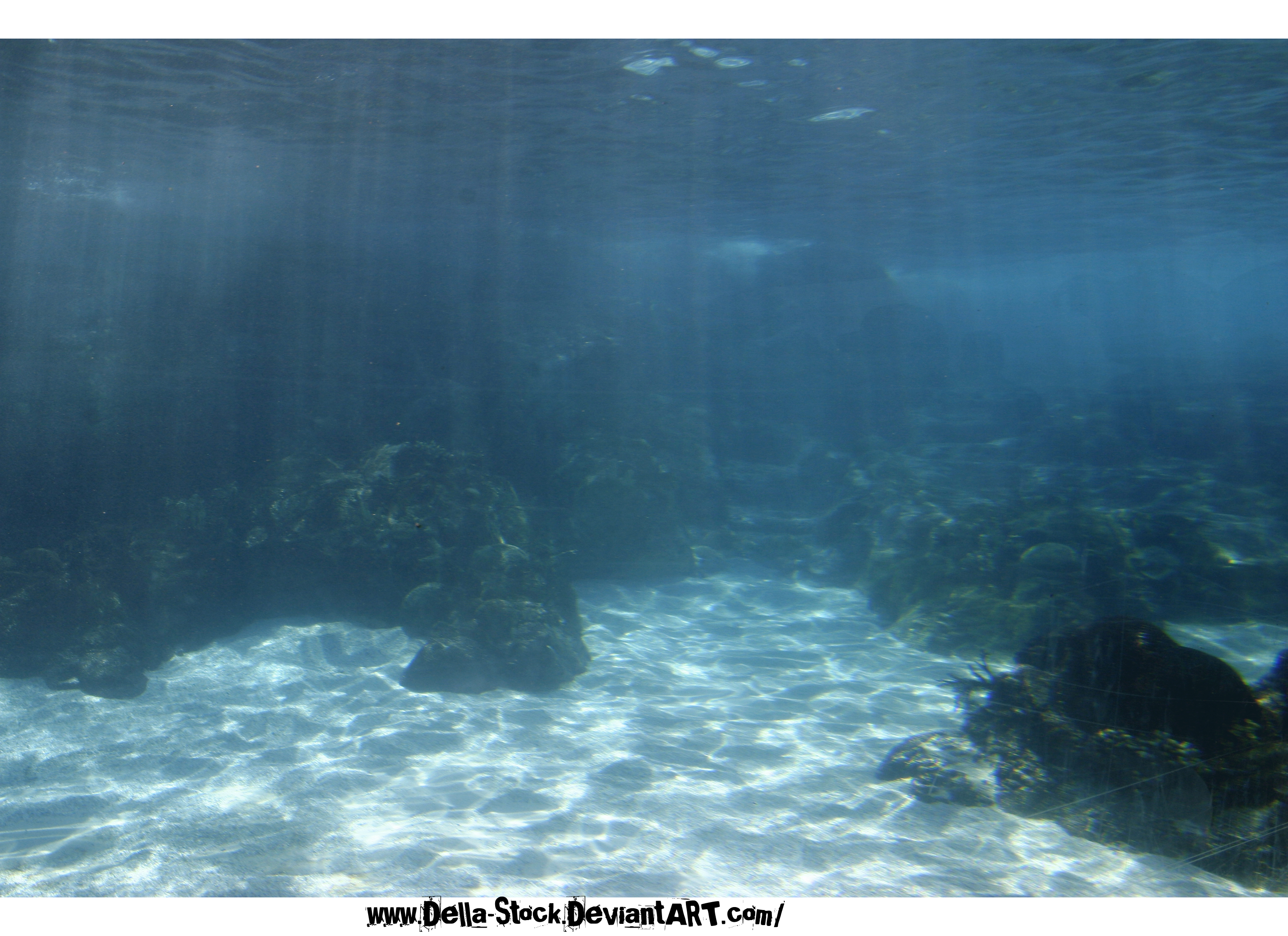 Under The Sea The Ocean World By Della Stock On Deviantart