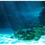 Underwater Ocean Floor Light