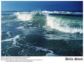 Ponce Inlet Waves