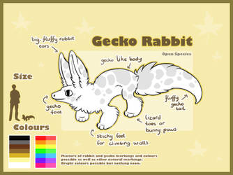 OPEN Species: Gecko Rabbit