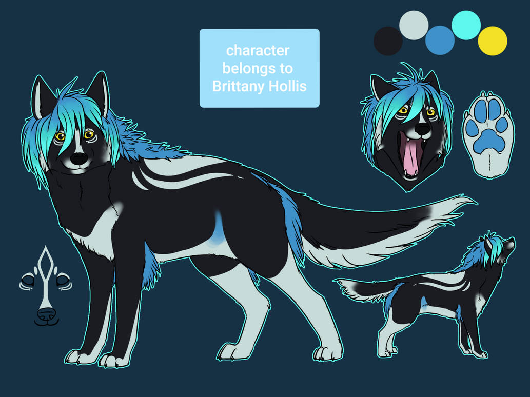 Canine Reference Sheet Commission by ButterflyBottom on DeviantArt