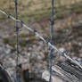 Barbed wire