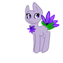 Flower Ponies (Closed Species)