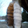 Striped Fox Tails FS