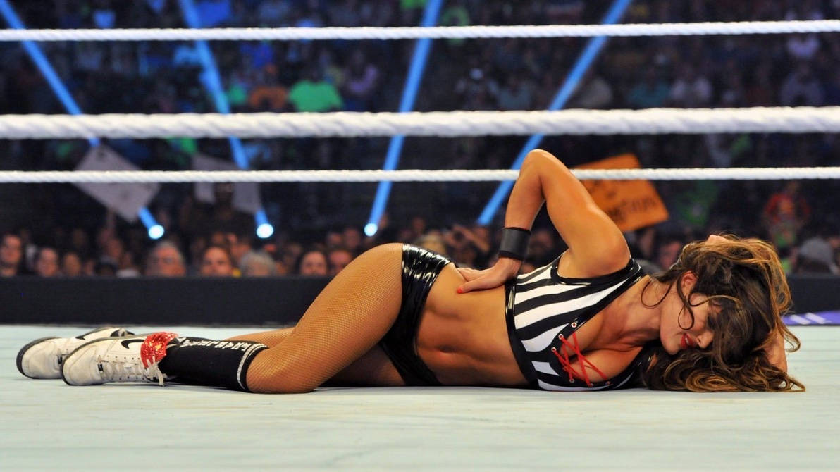 Nikki marie. Nikki Bella. WWE Nikki Bella. WWE Nikki Bella 2014.