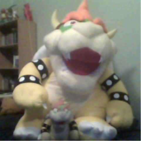 Large bowser online plush