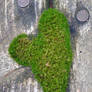 heart moss