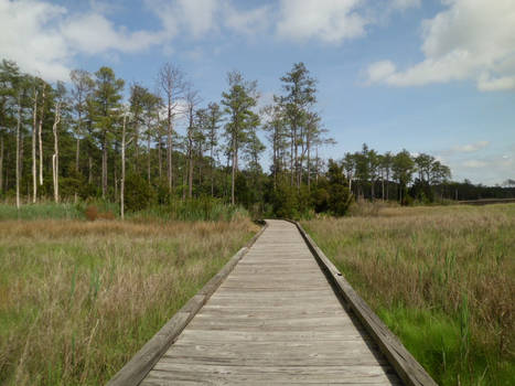 Wooden Bridge