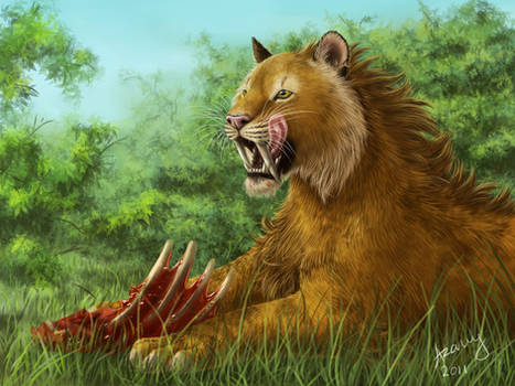 Saber-toothed tiger