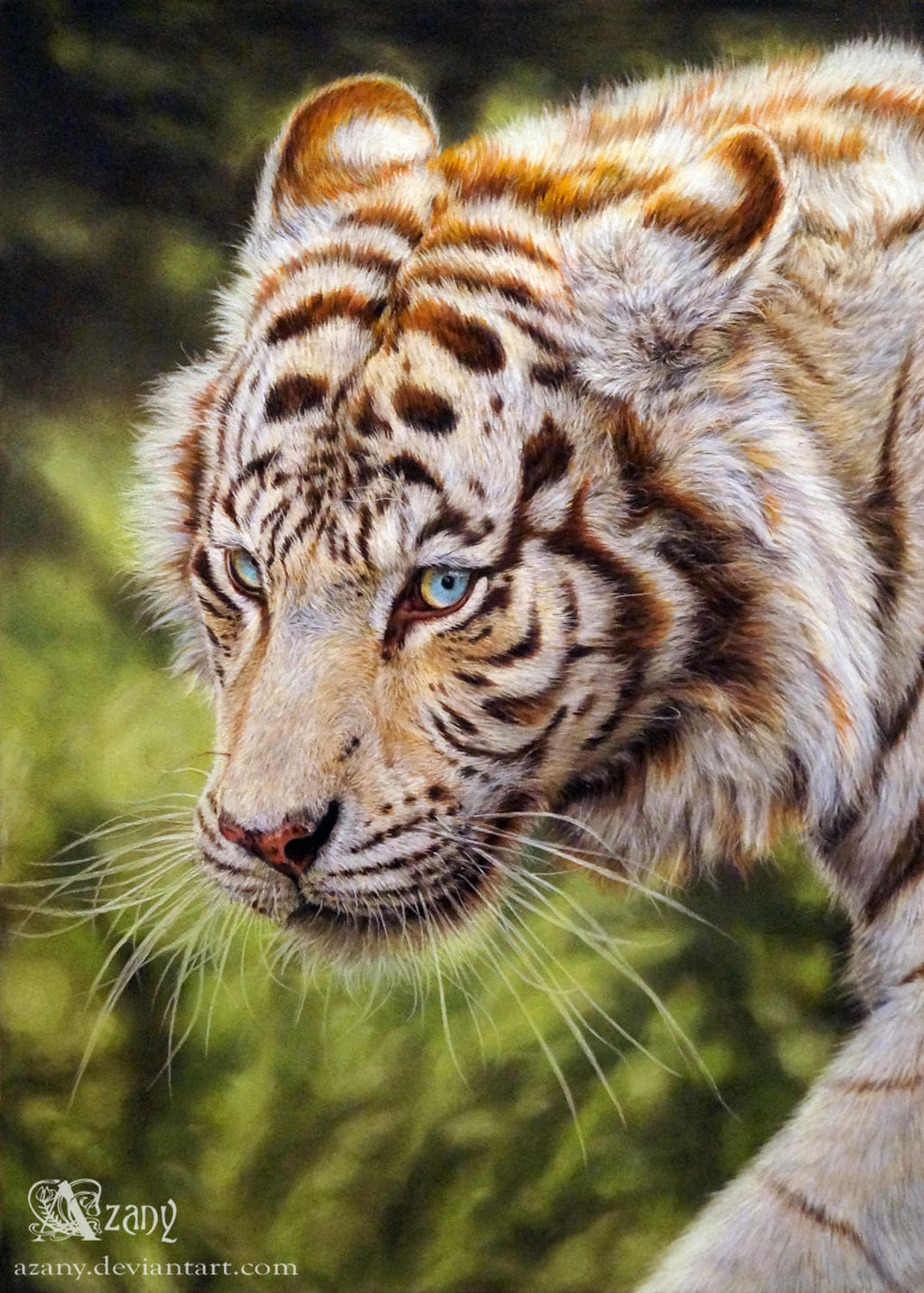 White Tiger by Ognimdo2002 on DeviantArt