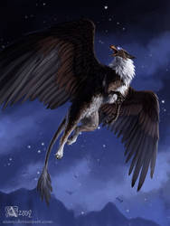 Commission: Griffin at night by Azany