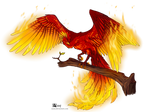 Fire phoenix