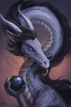 Gray dragon