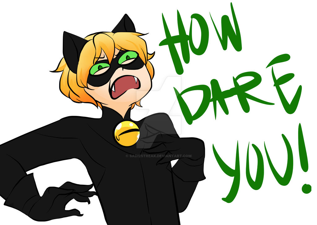 Pack Miraculous Ladybug And Chat Noir by BrookeCollins on DeviantArt