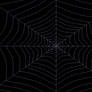 Spider's Web